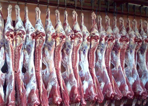肉制品冷藏库建造成本