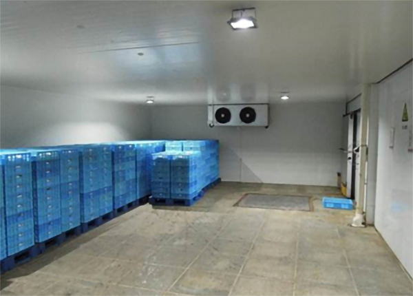 建造1000吨洋葱保鲜冷库安装费用是多少？