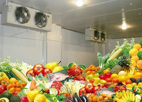 果蔬冷藏库安装造价费用