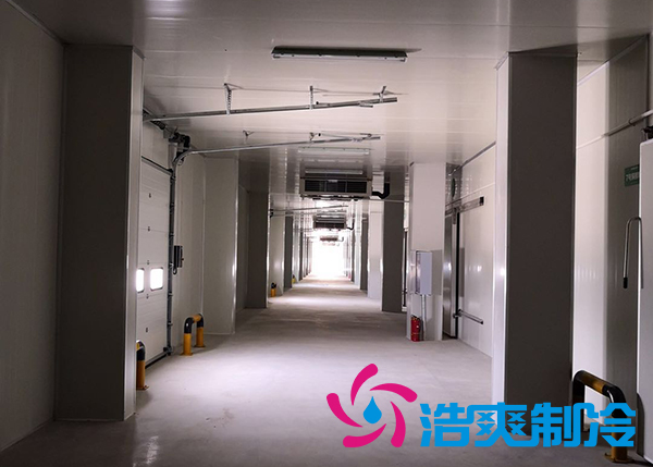 建造一个港口冷链冷库价格是多少钱？