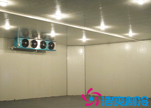 建造一间海参低温冷冻库大约需要多少费用？
