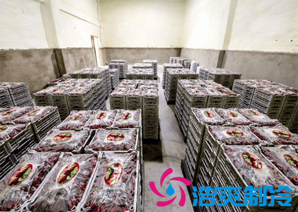 樱桃气调建造完成后有哪些储存方法和步骤？_浩爽制冷