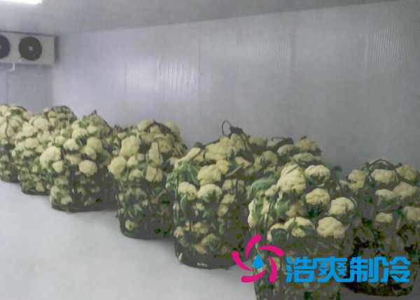 上海建造2000立方米鲜花气调保鲜冷库造价多少钱？