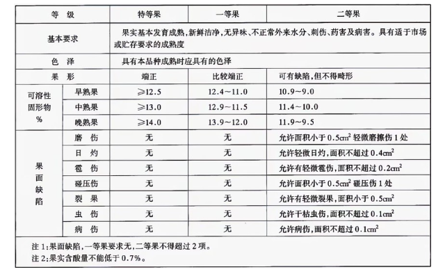 李子冷库建造完成后如何用于储存的？这些你都知道吗