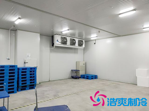 100平方米蔬菜保鲜冷库造价多少钱？-浩爽制冷