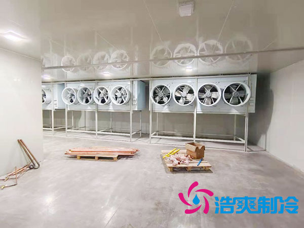 100平方米蔬菜保鲜冷库造价多少钱？-浩爽制冷