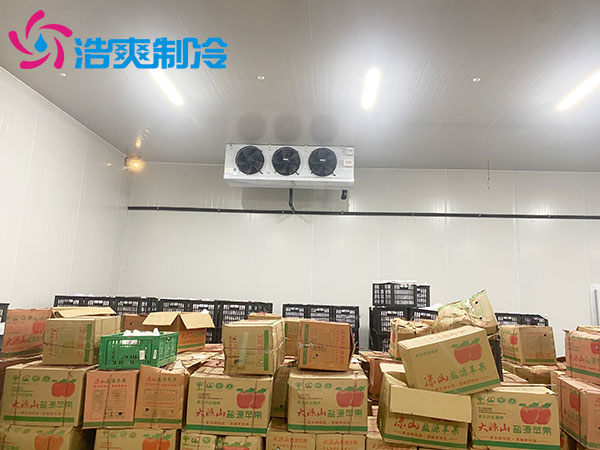 广东1000平方米水果保鲜冷库建造价格及配置清单