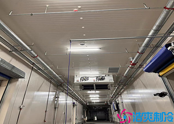 500平方不同类型冷库建造多少钱？.jpg