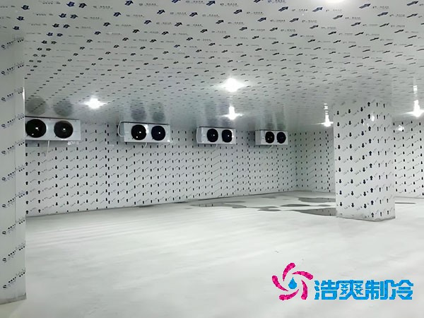 江苏地区100平米低温冷库造价预算解析-浩爽制冷