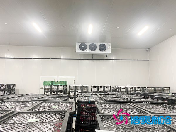 想知道保鲜冷库设计安装要花多少钱？-浩爽制冷