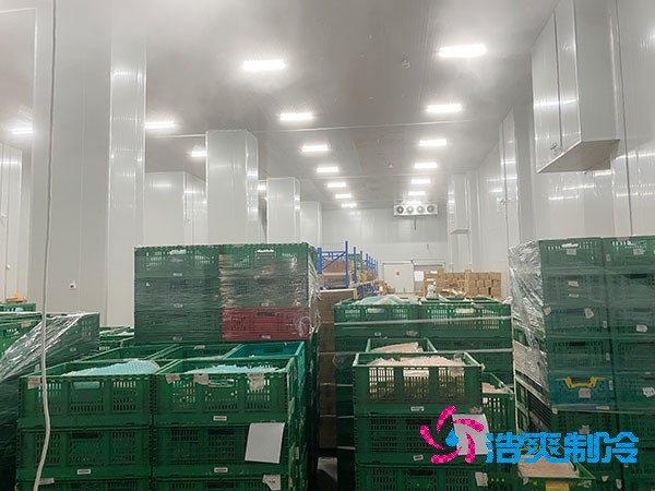 夏季蔬菜保鲜难？500吨冷库建造价格揭秘！