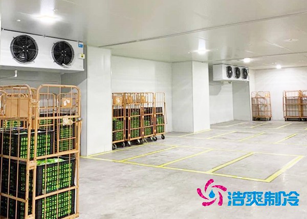 玉米冷库造价