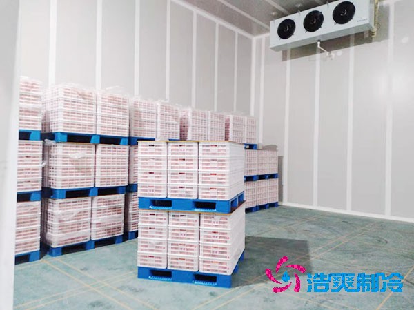 食堂冷库建造价格大概多少钱？-浩爽制冷