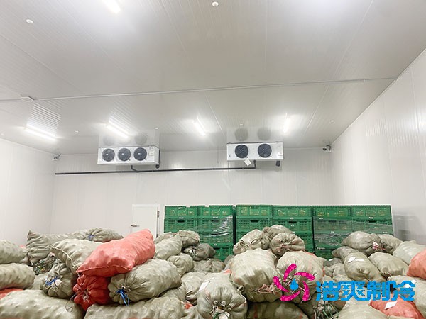 如何为时令蔬菜建造一个合适的冷库？造价成本多少钱？-浩爽制冷