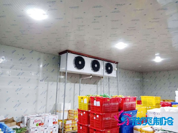 水果冷库造价