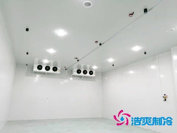 冷冻鱼肉冷库造价