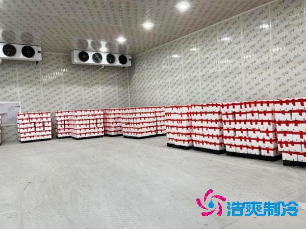 芭乐果保鲜冷库安装造价多少钱？芭乐果在冷库能放多久？-浩爽制冷