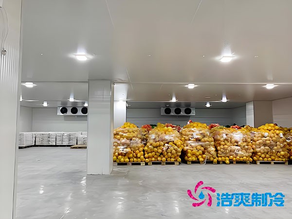 建一个蔬菜冷库造价需要多少钱？-浩爽制冷